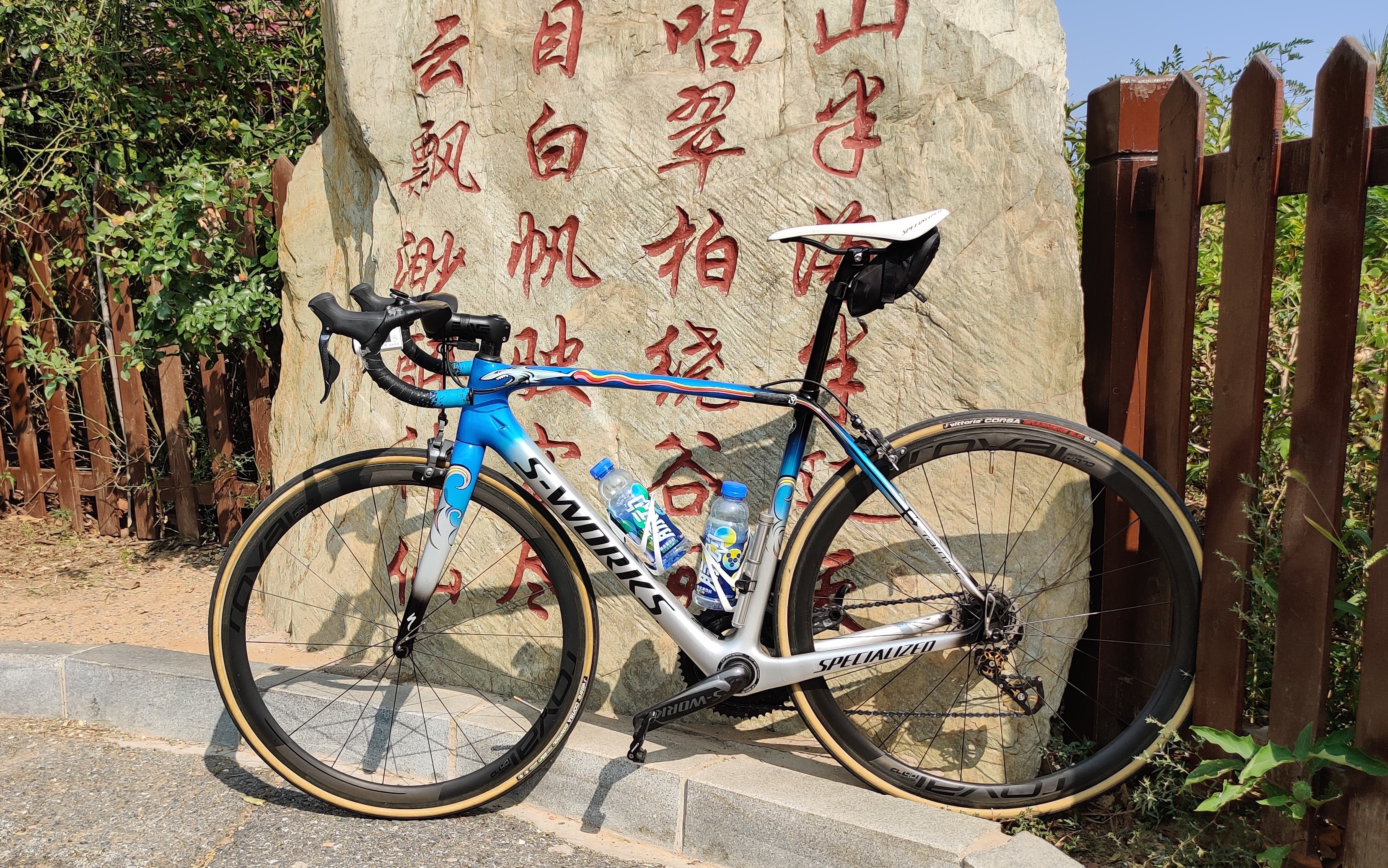 大连滨海路自行车图片
