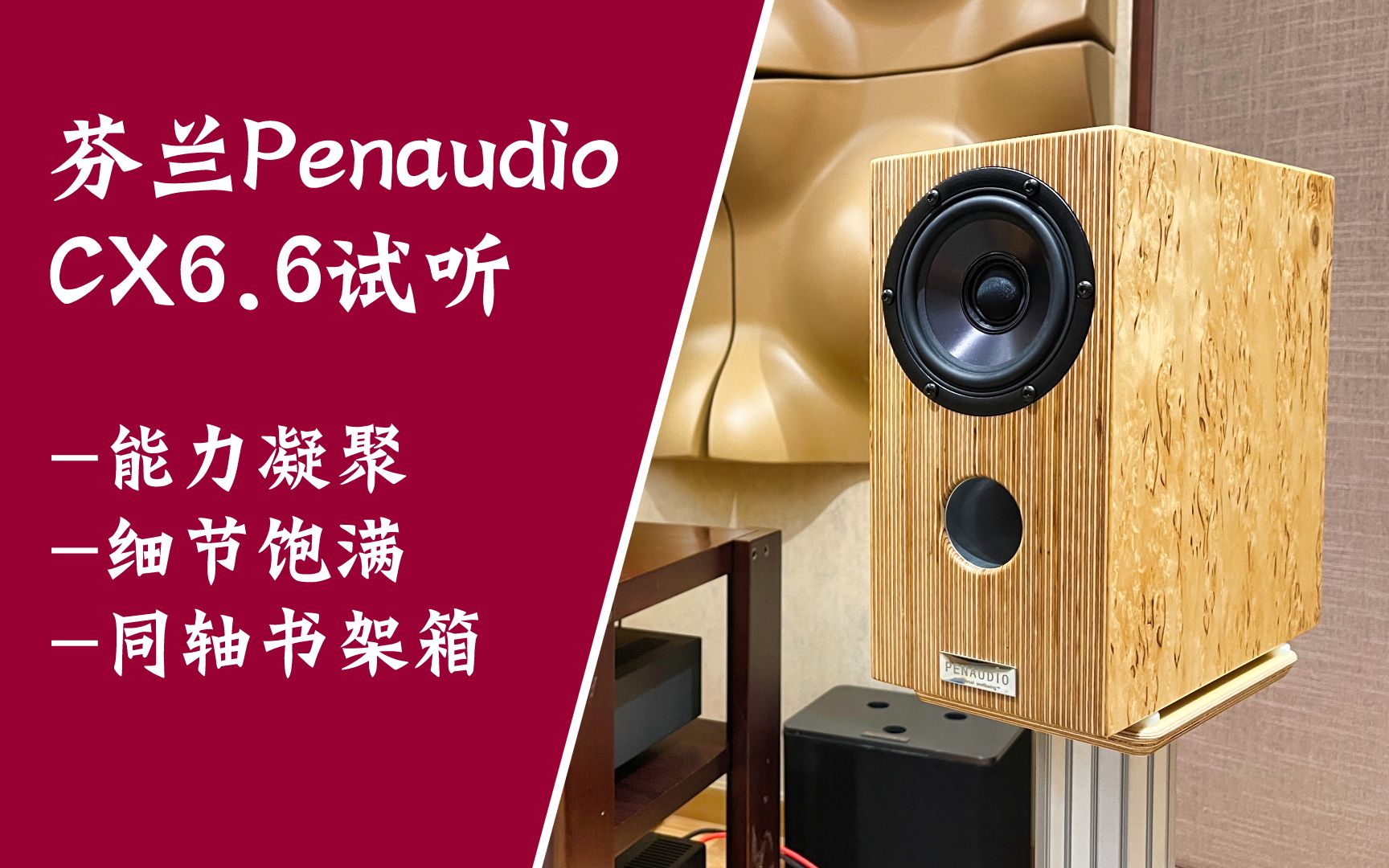 [图]同轴音箱有哪些特点？昌业音响试听芬兰Penaudio CX6.6二十周年纪念版书架箱