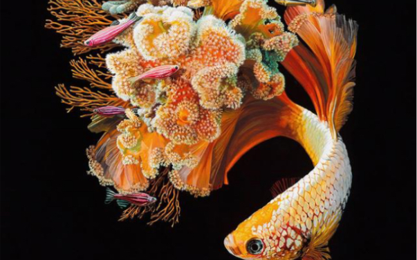 hillsong oceans恩典之洋(where my feet may fail) 英文字幕 for a