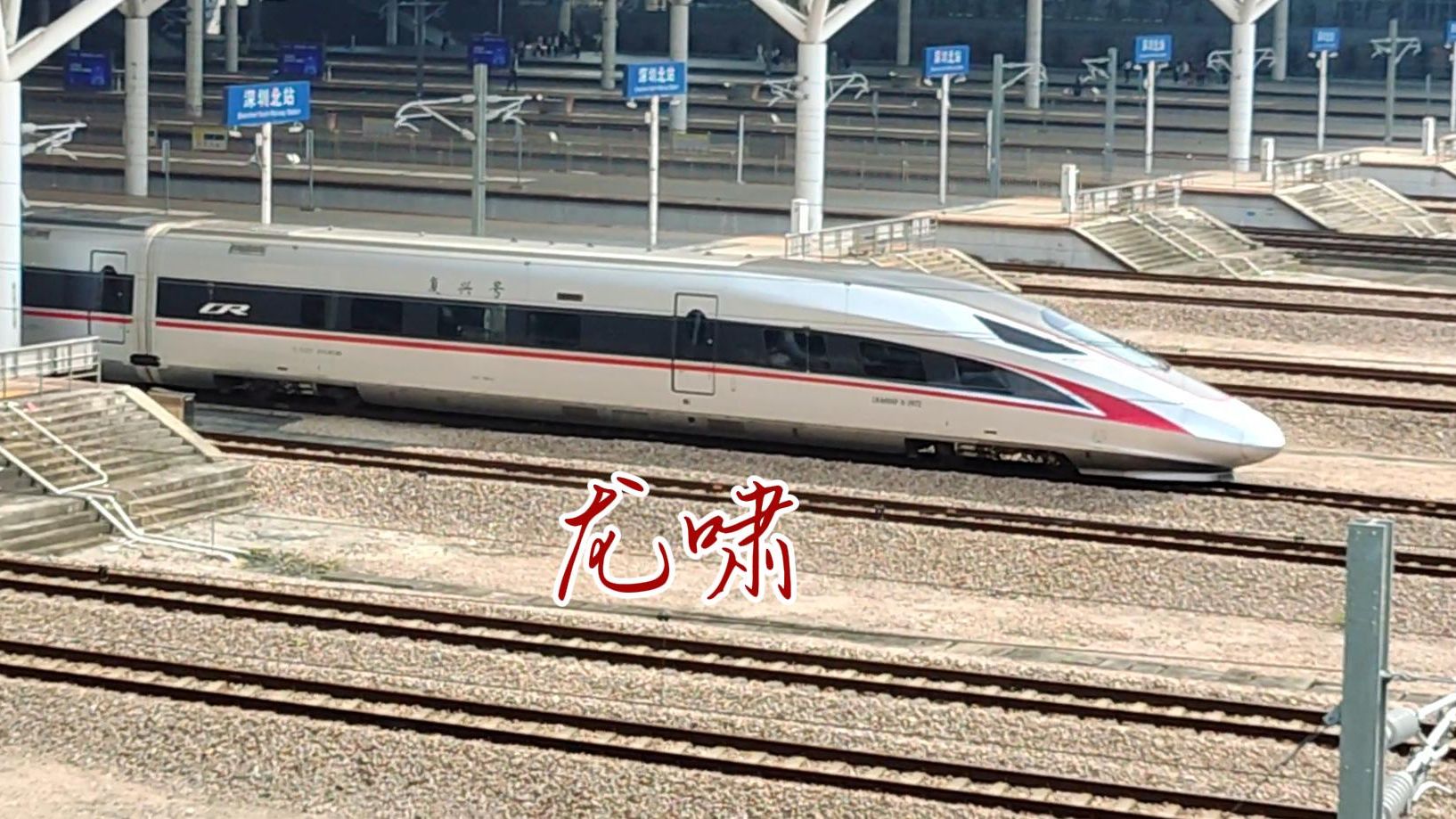 【龙啸】红神龙鸣笛