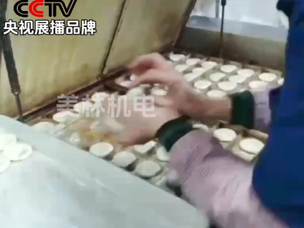 惠来隆江定制2台,自动翻转绿豆饼烤饼机,时间温度可调 翻转数可调