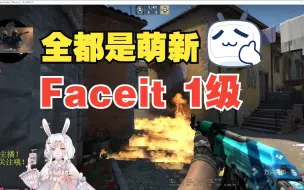 下载视频: Faceit平台1级的真实水平