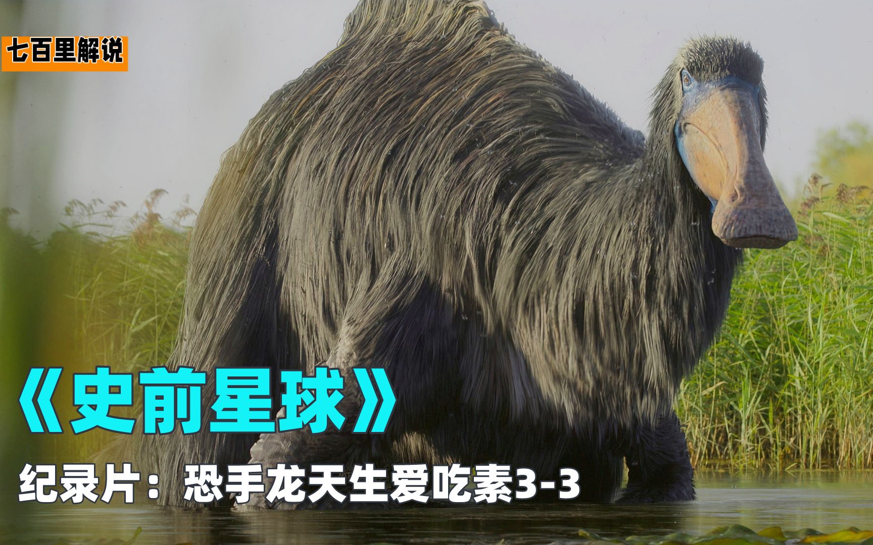 长相奇怪的恐手龙,体型比霸王龙还大,却是个素食主义者,纪录片_哔哩