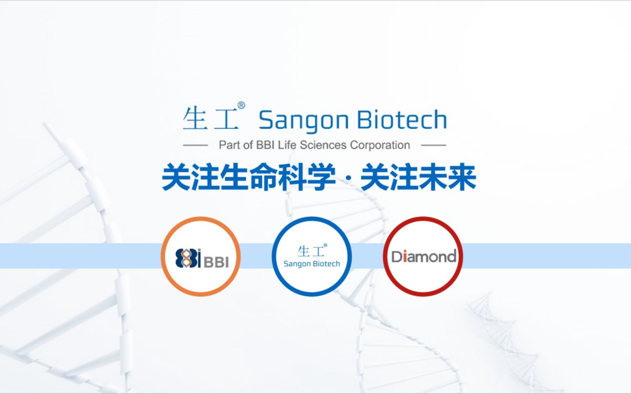 使用NCBI工具PrimerBLAST设计qPCR引物——从理论到实战哔哩哔哩bilibili