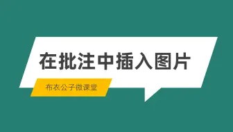 在批注中插入图片