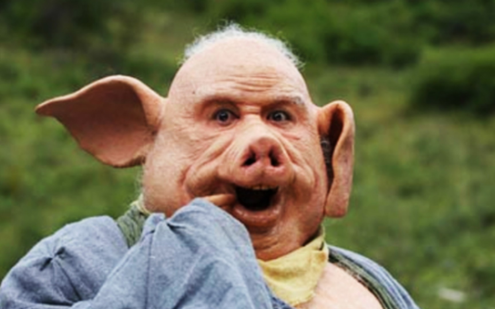 你不知道猪八戒的一些事