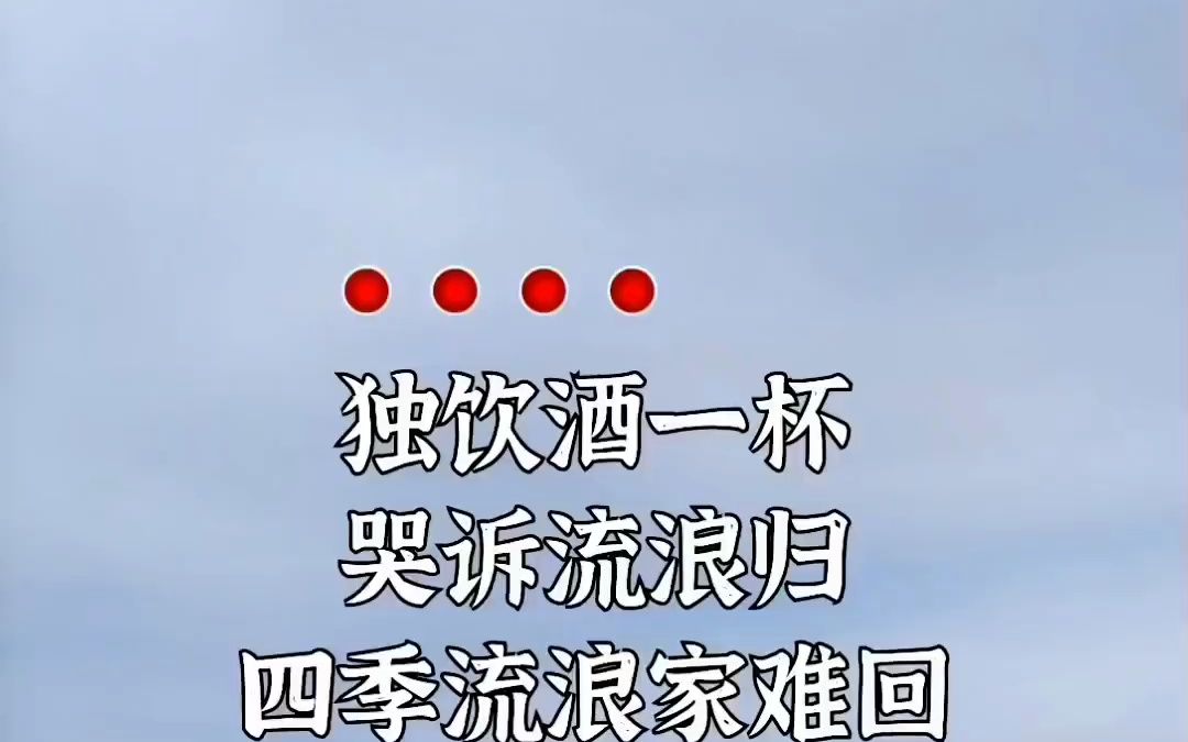 独饮一杯酒,苦诉流浪归,四季流浪家难归,何人暖心扉