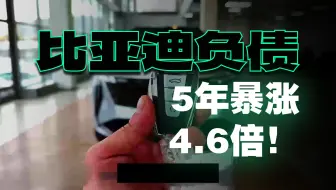 转发：从中国锂电大家族的半年报看它们的结局：比亚迪，吉利，理想，宁德时代，国轩高科，赣锋锂业，盛新锂能..-