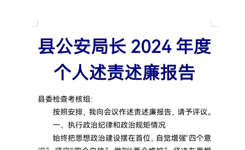 县公安局长2024年度个人述责述廉报告哔哩哔哩bilibili