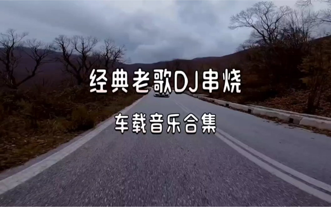 经典老歌dj串烧 车载动感音乐 独特的节奏感和充满活力的氛围