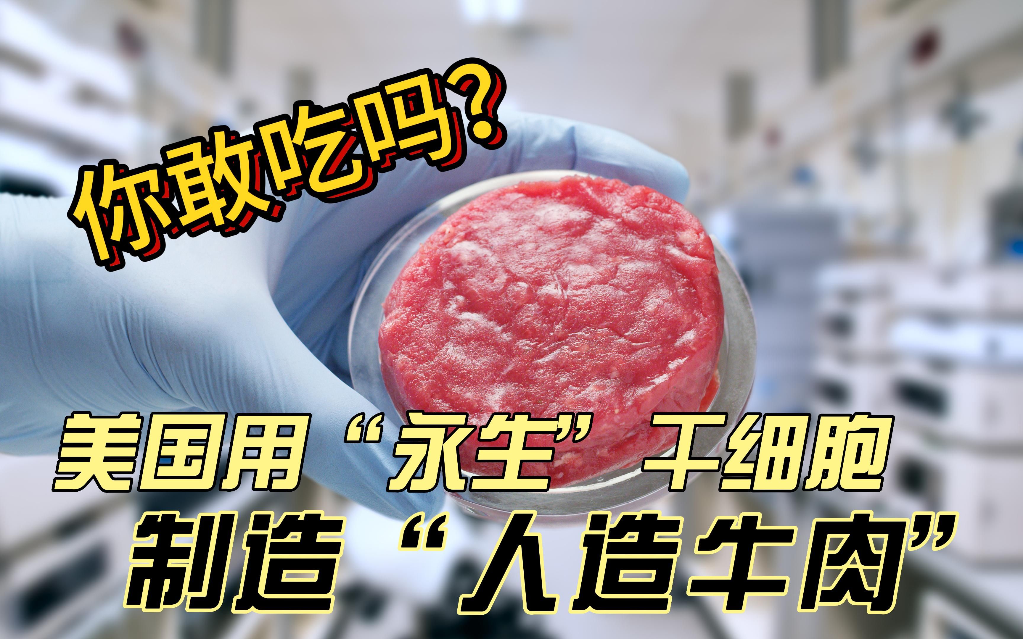 美国发明“永生”干细胞培养“人造肉”有望实现人造肉无限量供应哔哩哔哩bilibili