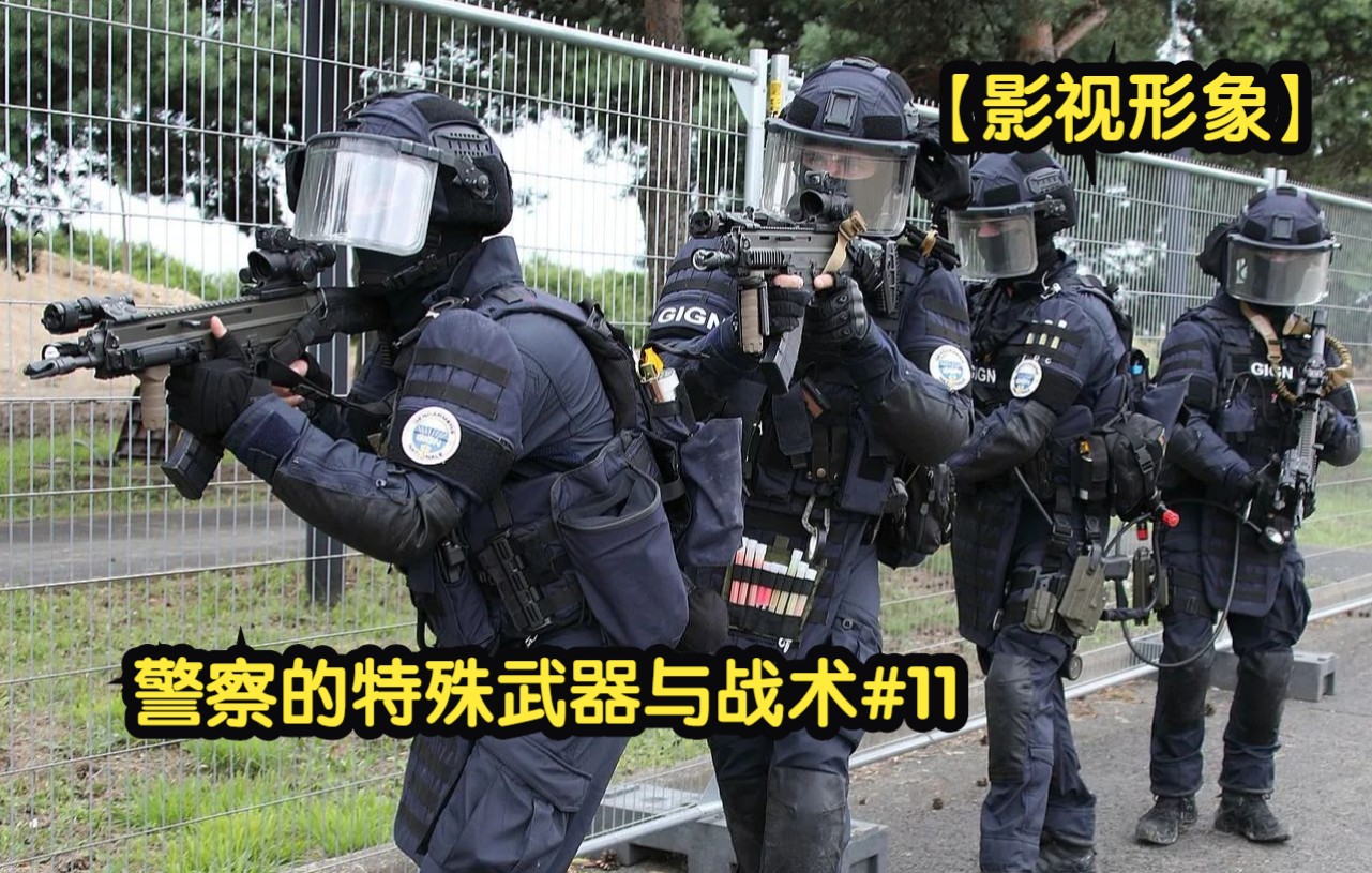 [图]警察的特殊武器与战术#11