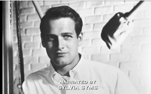 【搬运】保罗ⷧ𚽦›𜮐‹不同时期采访剪辑  Paul Newman Interviews 1973 1982 1987哔哩哔哩bilibili