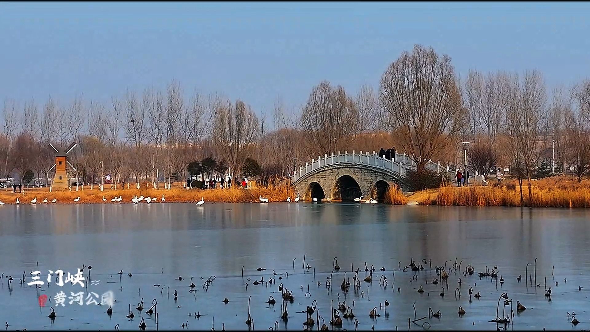 三门峡黄河公园