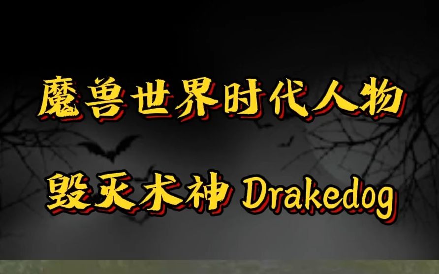 魔兽世界时代人物毁灭术神 Drakedog哔哩哔哩bilibili魔兽世界