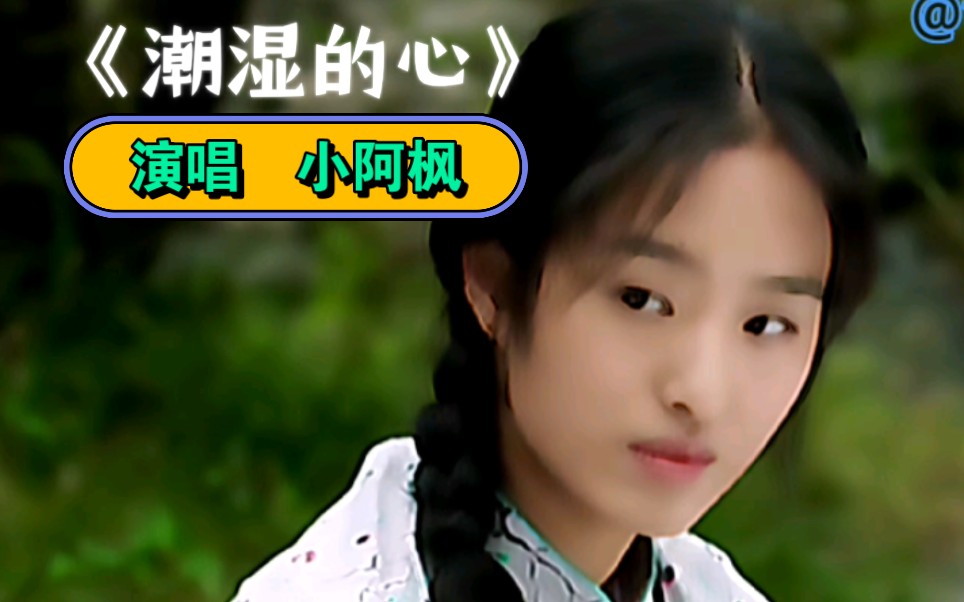 小阿枫伤感演唱《潮湿的心》,唱出了多少人的辛酸与无奈,音乐分享