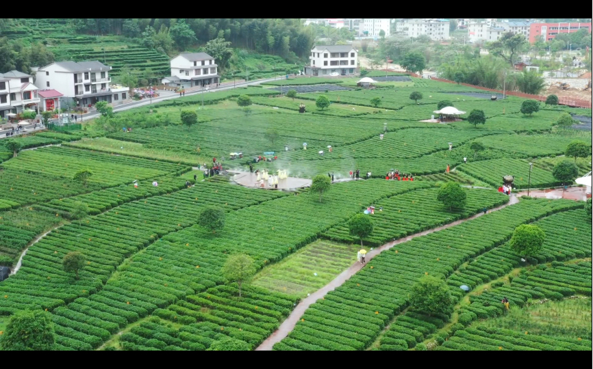 江西遂川:狗牯脑茶原产地汤湖神茶谷