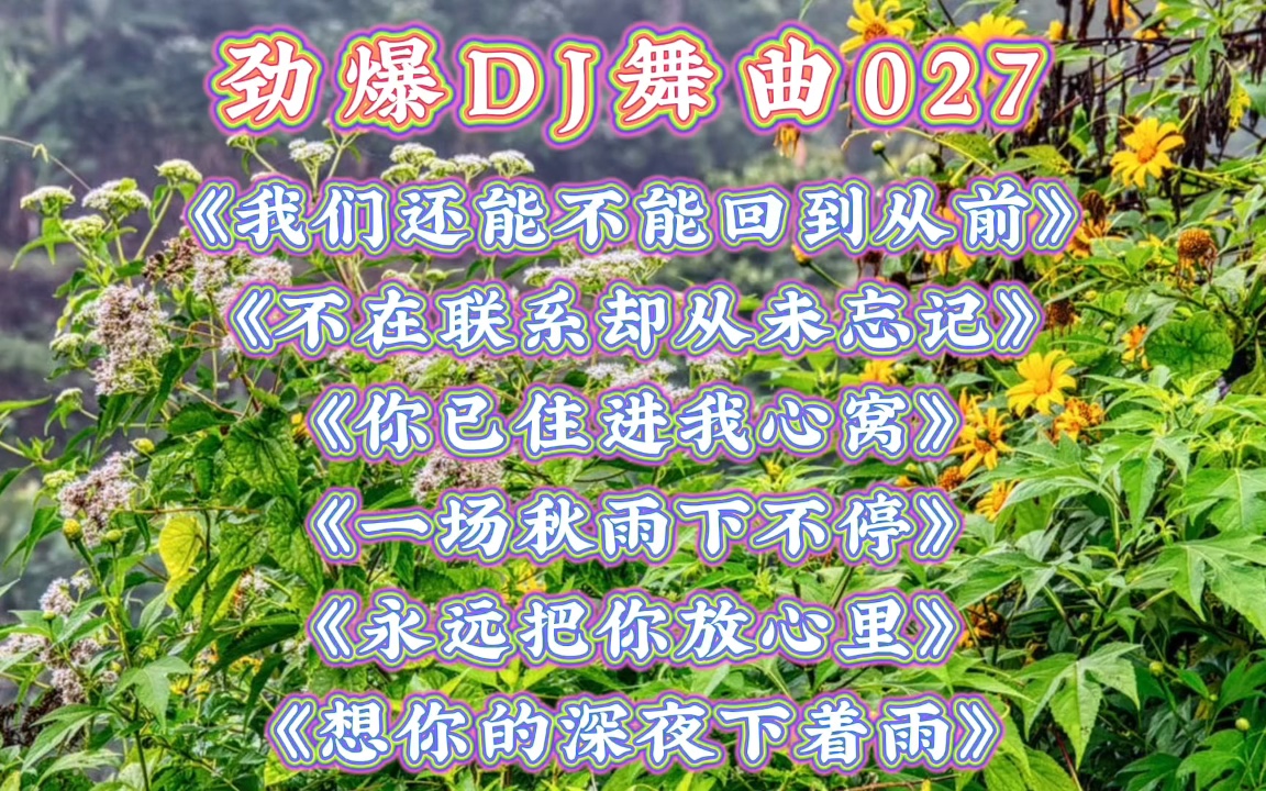 劲爆dj舞曲027《我们还能不能回到从前》《不在联系却从未忘记》