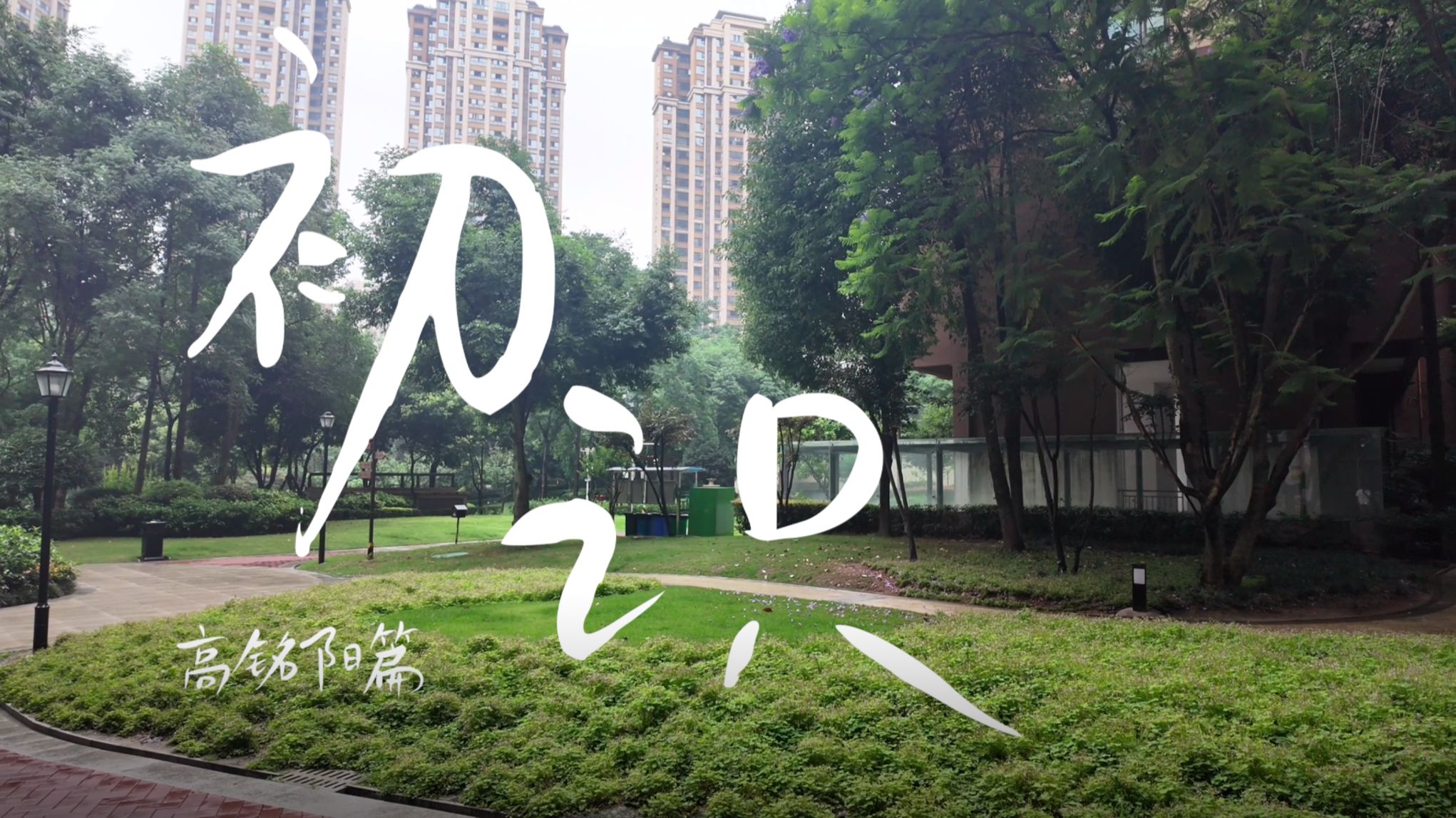 【TF家族练习生】五代个人纪录片《初识》· 高铭阳篇