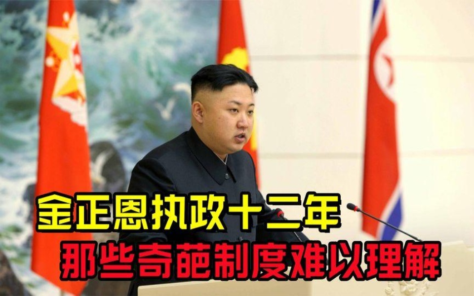 金正恩执政12年,在朝鲜都制定了哪些奇葩规定,尤其是第六条哔哩哔哩bilibili