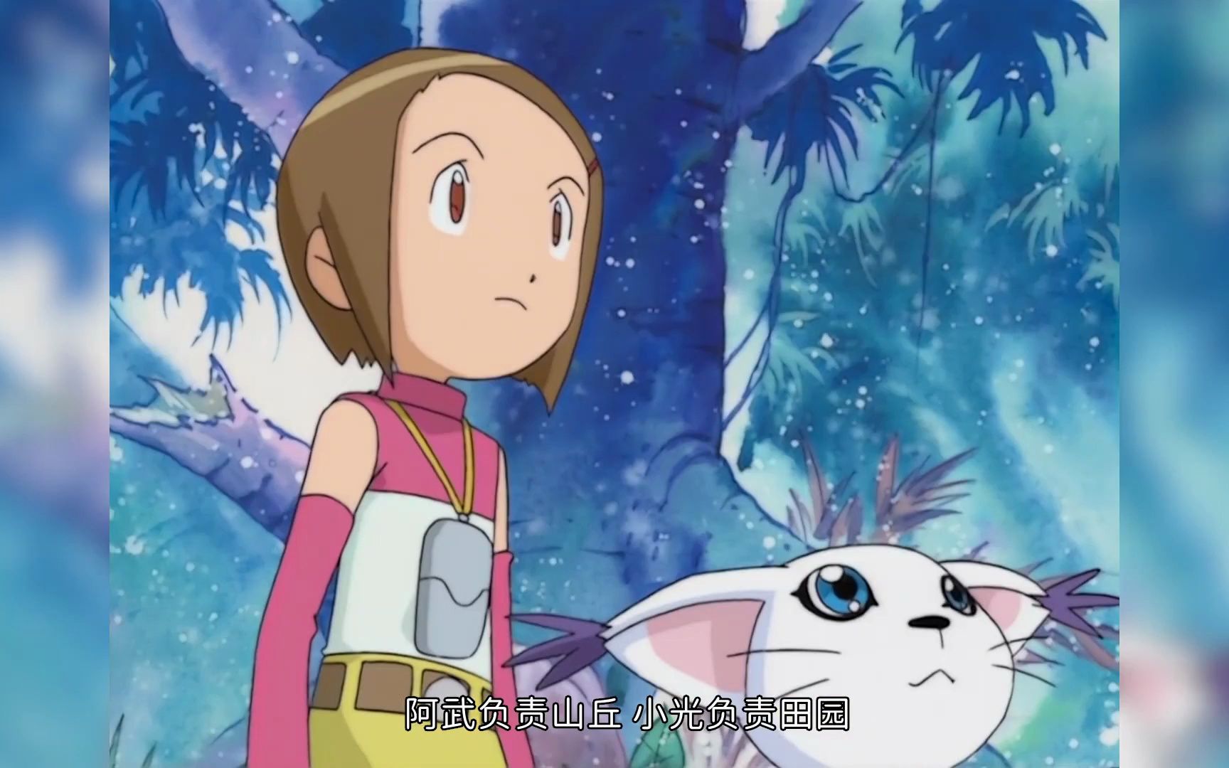 【数码宝贝第二季22】v仔兽进化训练,不小心看到了数码兽小便!