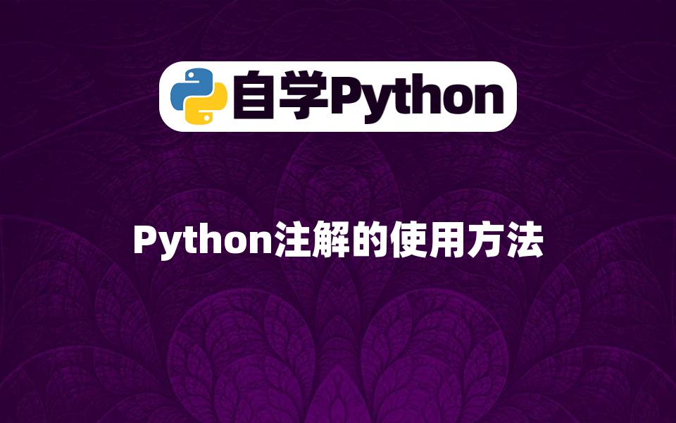 【Python基础】Python注解的使用方法哔哩哔哩bilibili