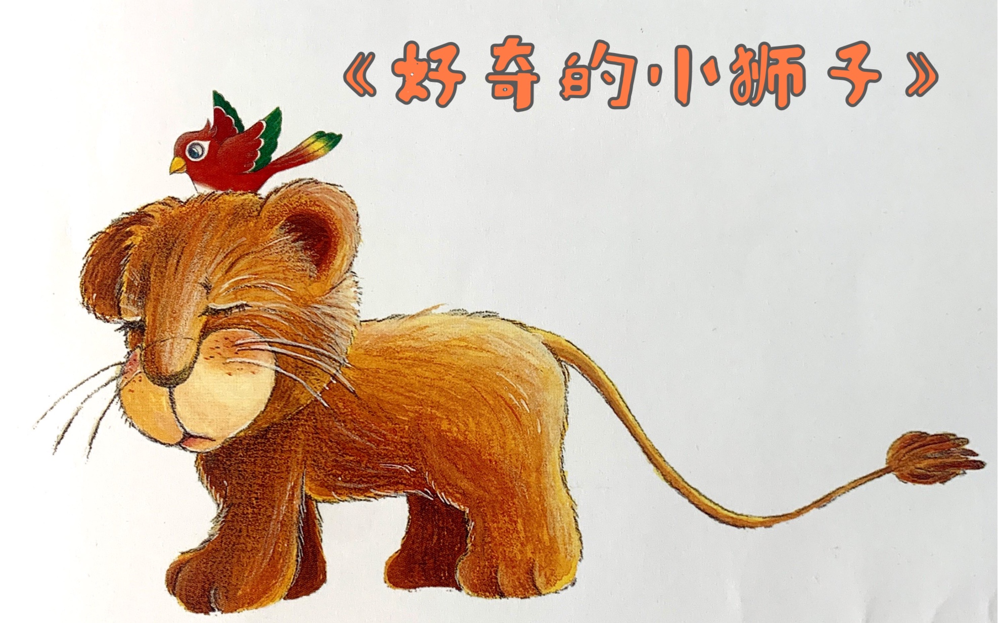 儿童有声绘本故事好奇的小狮子