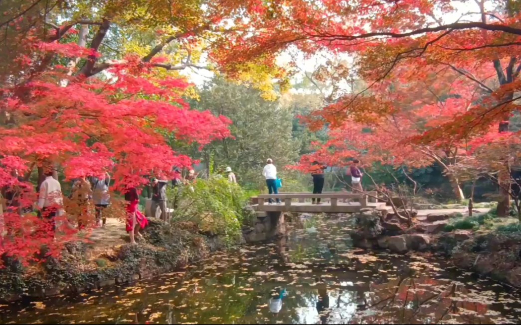 位于上海市嘉定区秋霞圃公园