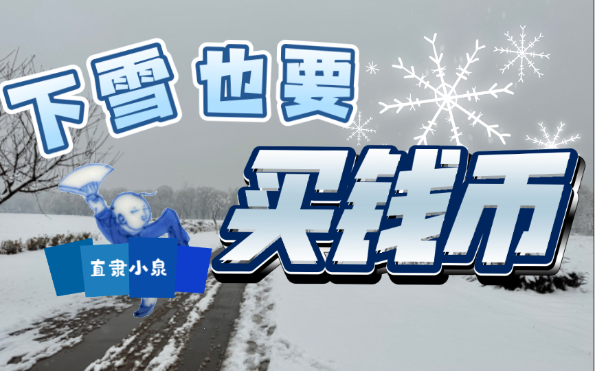 下大雪也要去买钱币呀哔哩哔哩bilibili