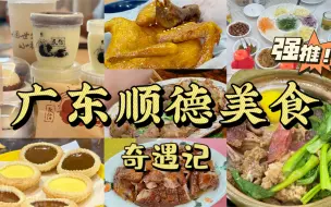 Download Video: 广东顺德美食奇遇记（四天三晚没得说！）