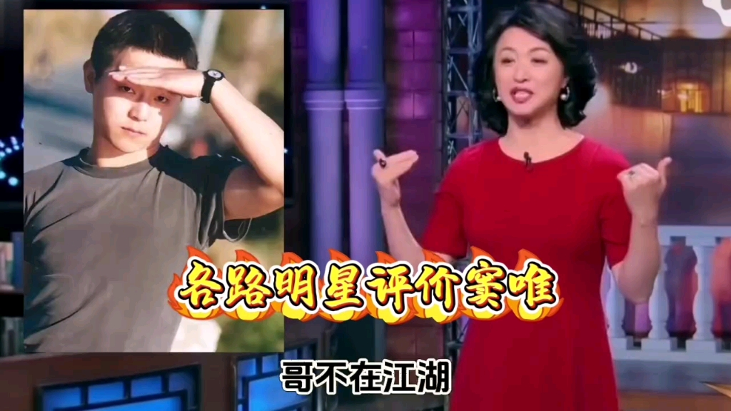 各路明星评价窦唯