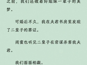 【沙雕】我和闺蜜嫁给了一对皇子.坊间都传言他们关系亲厚,嫁过去之前,我们还做着好姐妹一辈子的美梦.嫁过去之后才发现,完了,这两兄弟坑死了...