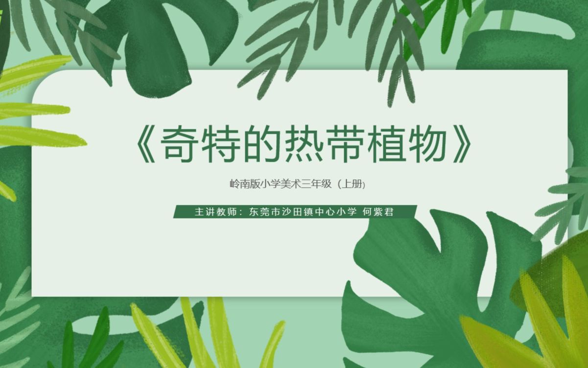 [图]奇特的热带植物