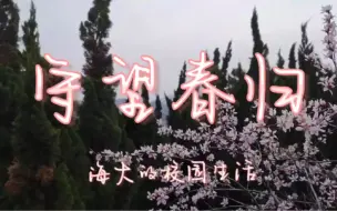 Скачать видео: 中国海洋大学海之子｜回顾：海大学子的宅校日常