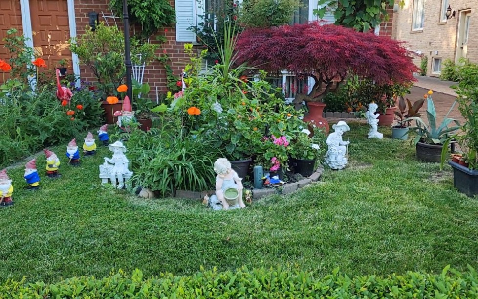 [图]Sophie's Garden 邻里最出名的花园，92岁意大利老爷爷亲力亲为的盆栽及装饰花园