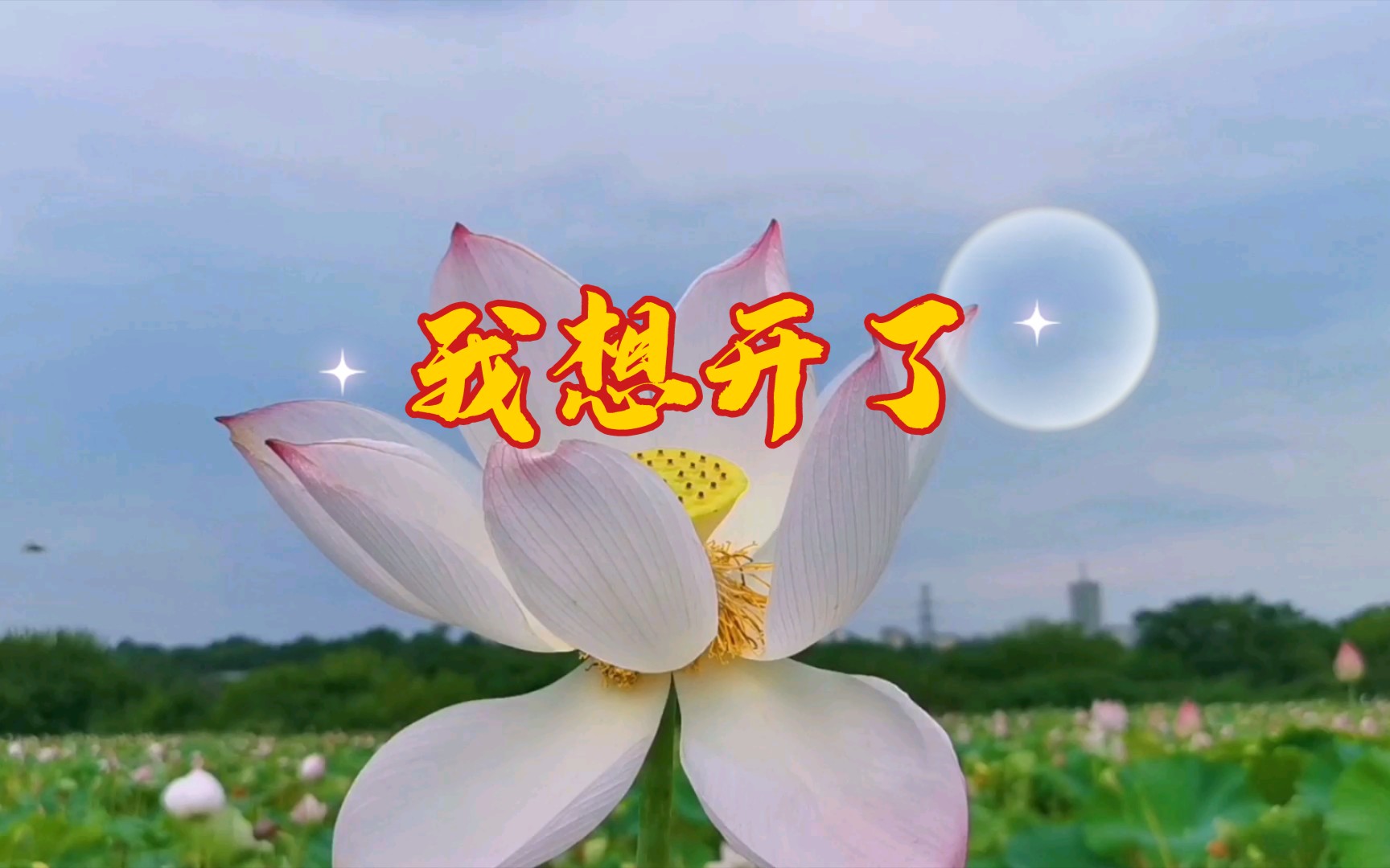 我想开了!夏日小清新!