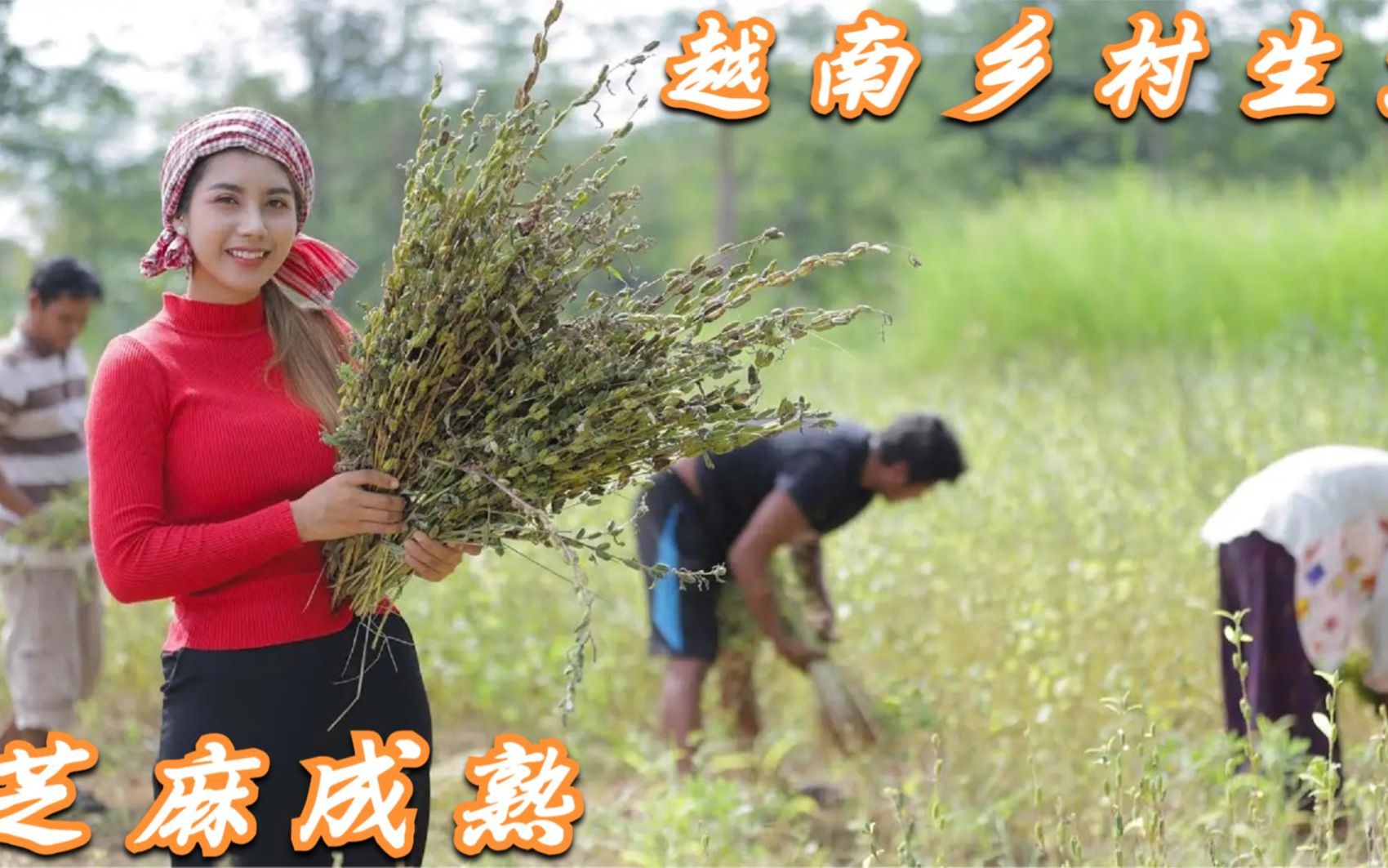 越南妹子到底有多能干?实拍越南农村人生活日常,网友:会过日子