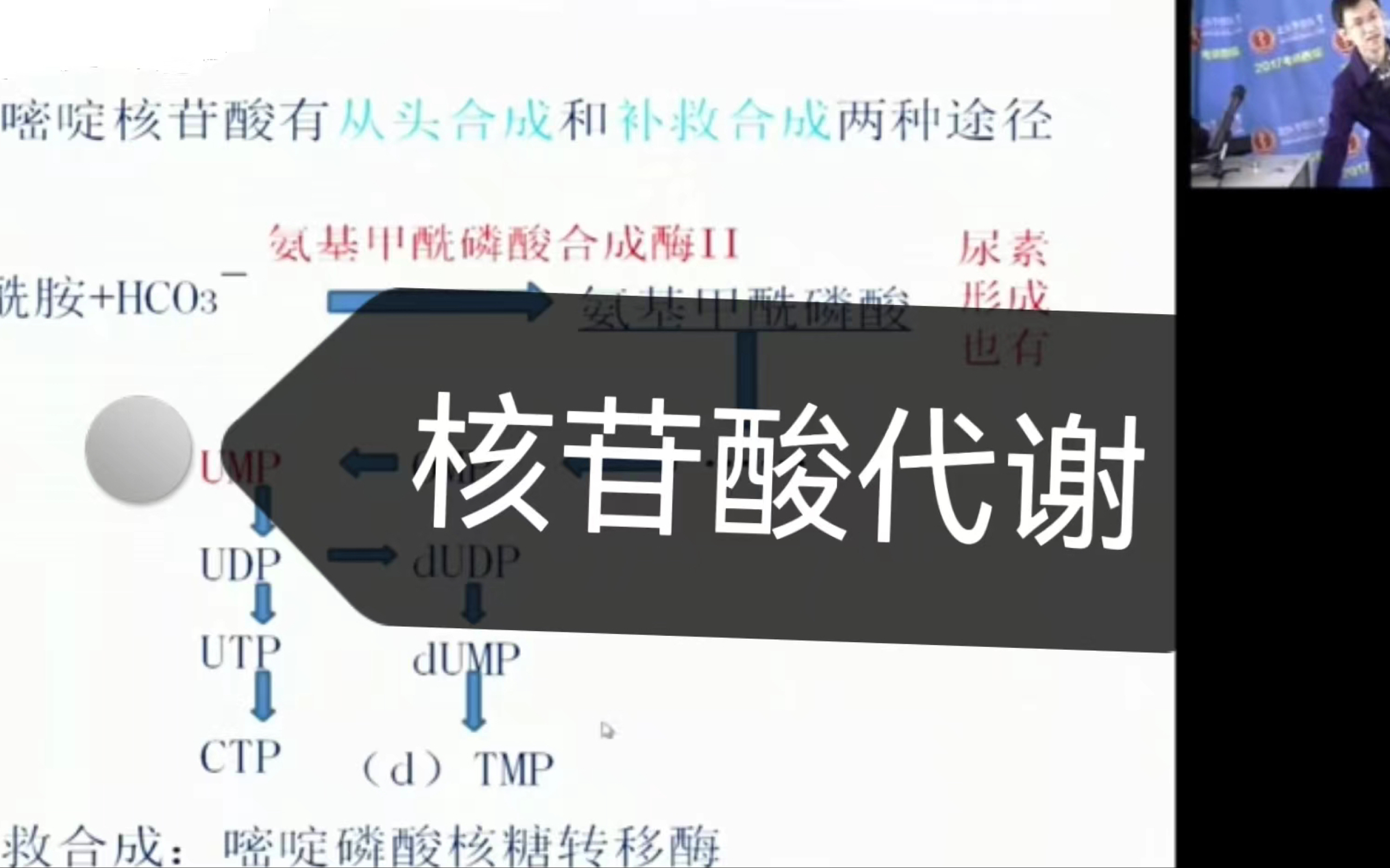 【考研西综】刘不言老师生物化学课程核苷酸代谢哔哩哔哩bilibili