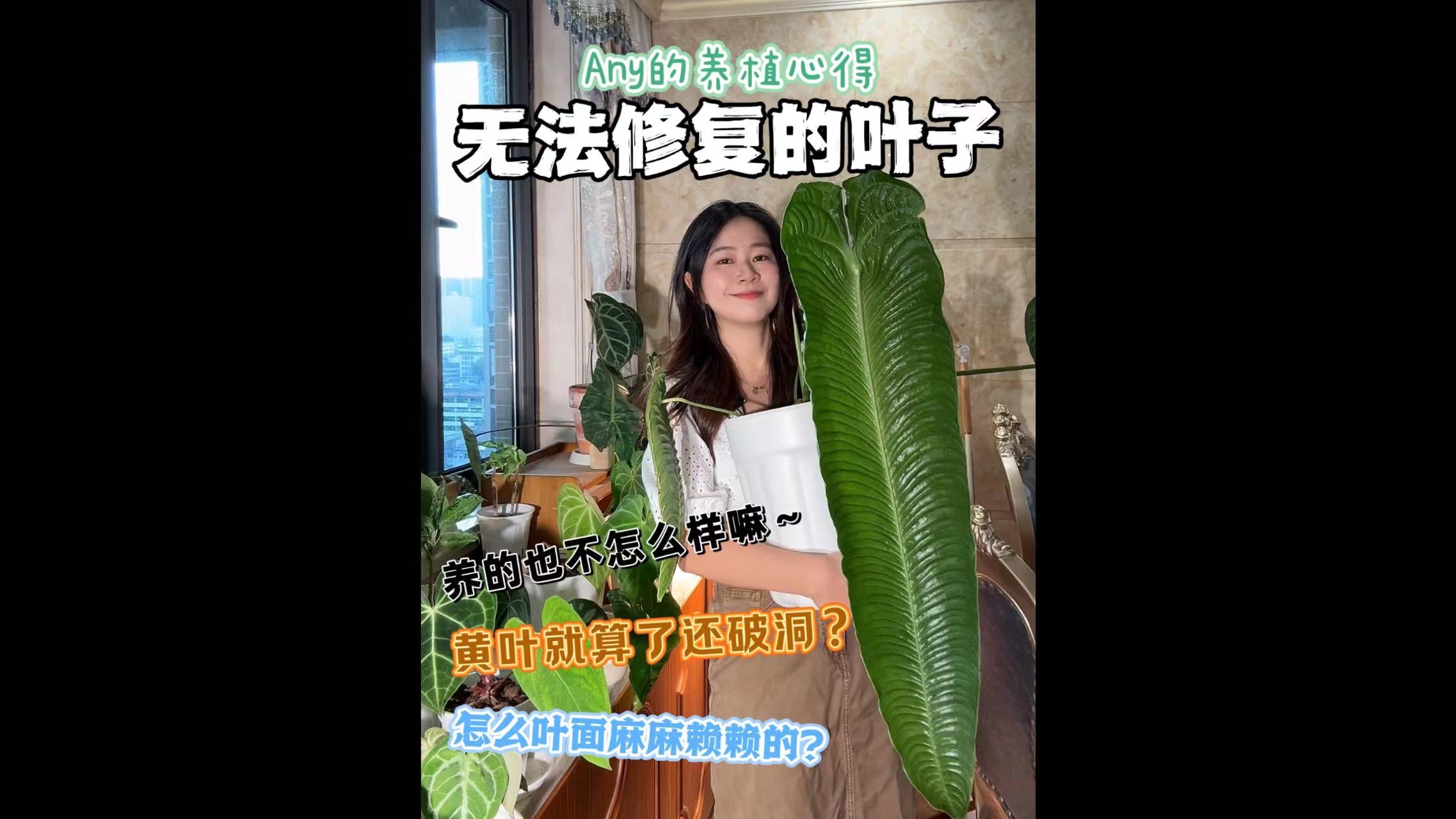 植物给的小道理|知错就改叶子就会原谅你!哔哩哔哩bilibili