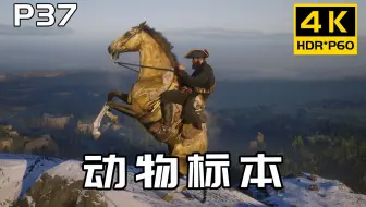 史上第二肝任务，3星动物标本搜集攻略，建议收藏！荒野大镖客2