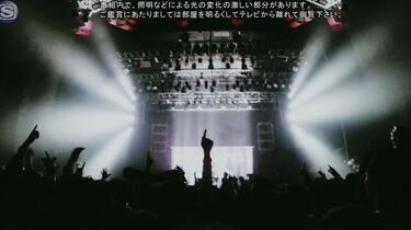 MONOEYES 