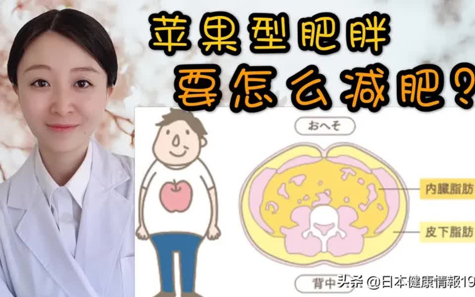 减肥vlog内脏脂肪型肥胖要怎么减最后放大招