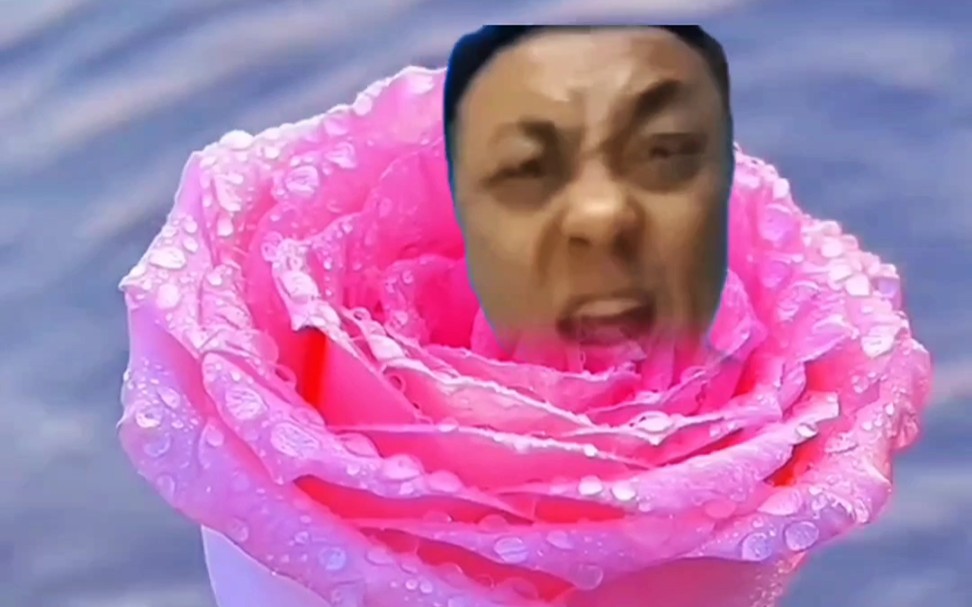 用土味视频方式打开黑手哥