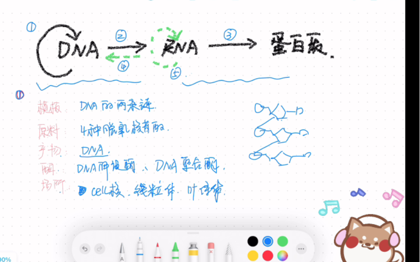 4分钟无痛记住中心法则哔哩哔哩bilibili