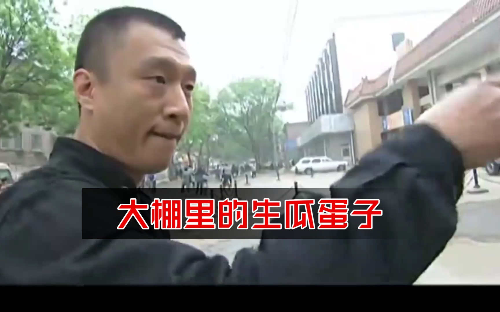 大棚里的生瓜蛋子