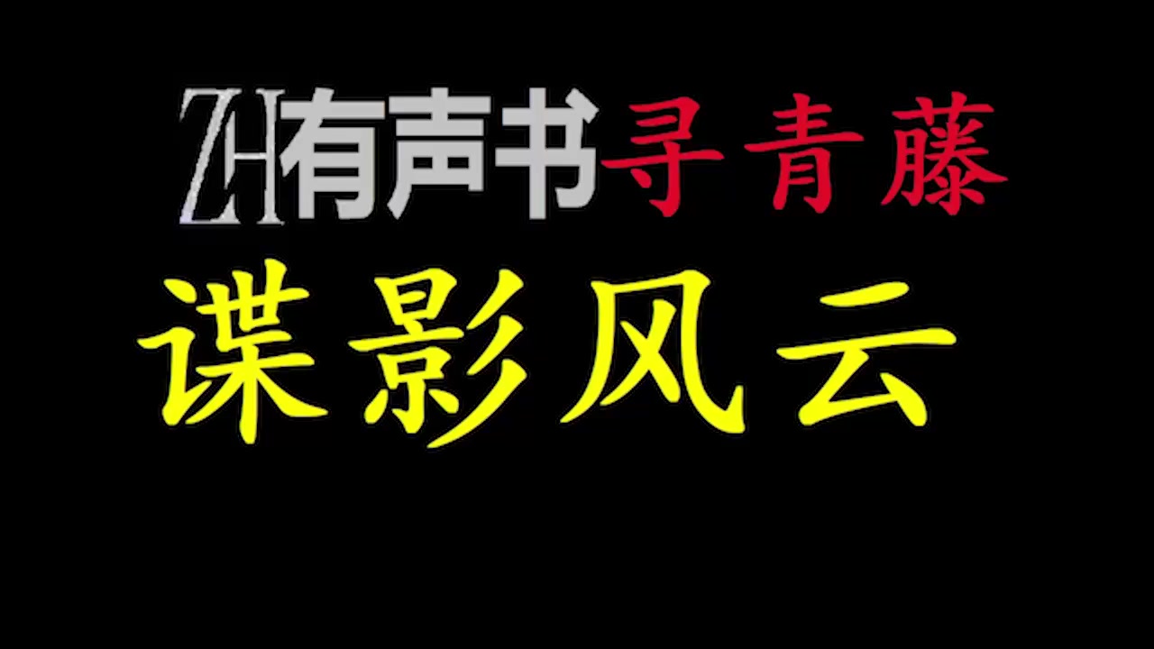 谍影风云【ZH感谢收听ZH有声便利店免费点播有声书】哔哩哔哩bilibili