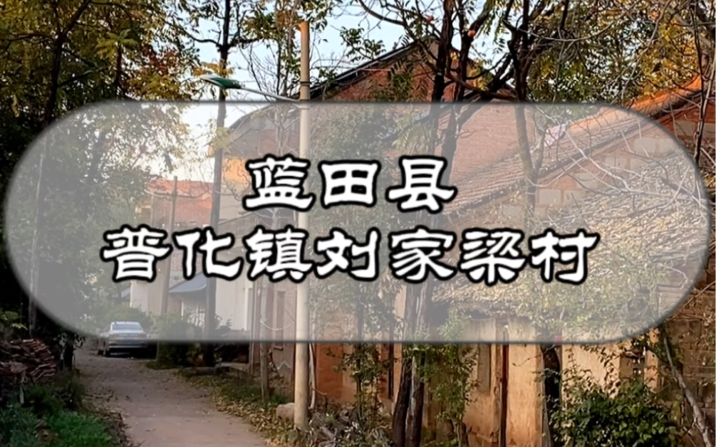 蓝田县普化镇刘家梁村哔哩哔哩bilibili