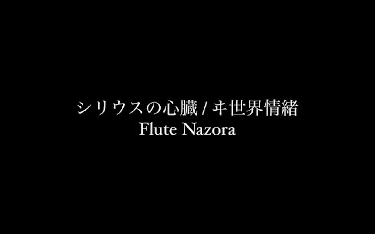 [图]【长笛演奏】シリウスの心臓 / ヰ世界情緒 by Nazora