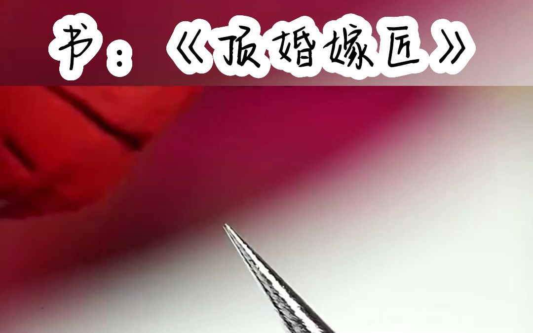 《顶婚嫁匠》 宝藏小说 小说推荐 每日推文哔哩哔哩bilibili