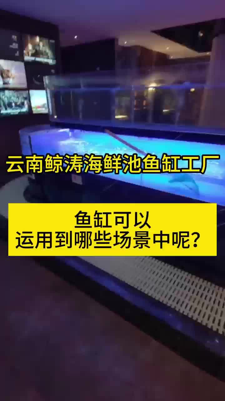 在云南定制海鲜池,亚克力鱼缸,就找鲸涛鱼缸定制安装厂家!哔哩哔哩bilibili